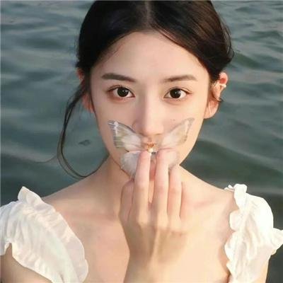 执法者们粤语
